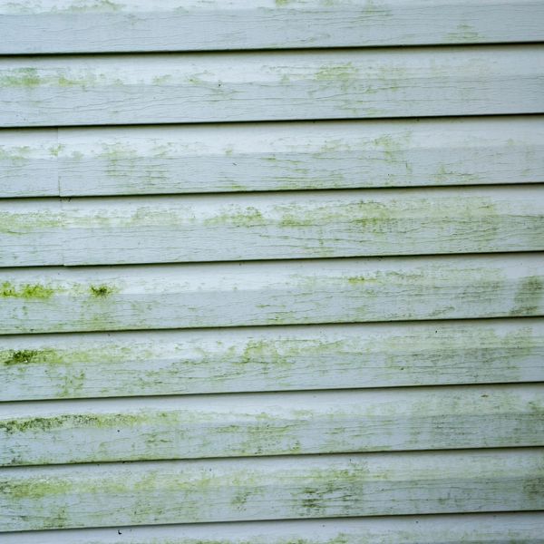 fading discolor siding